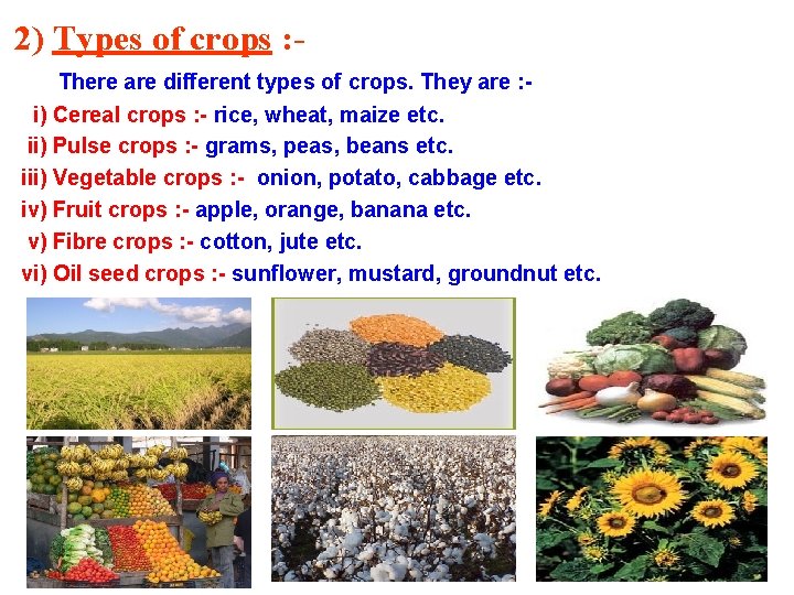 2) Types of crops : There are different types of crops. They are :