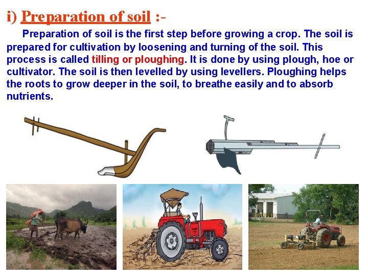 i) Preparation of soil : Preparation of soil is the first step before growing