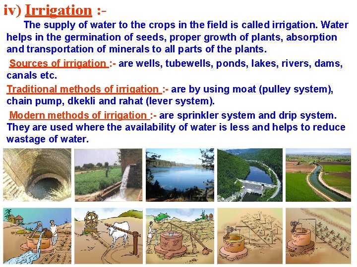 iv) Irrigation : The supply of water to the crops in the field is