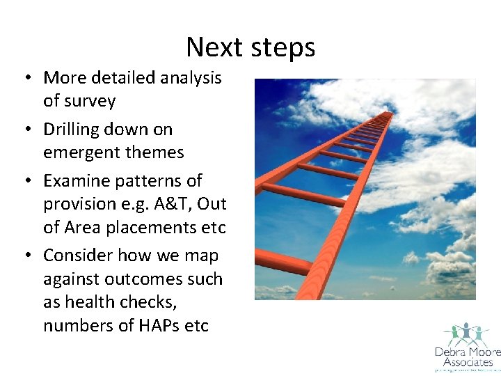 Next steps • More detailed analysis of survey • Drilling down on emergent themes