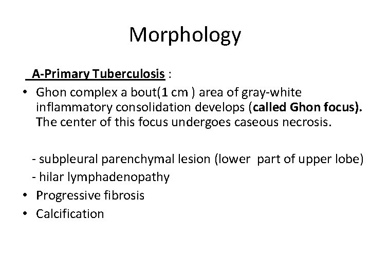 Morphology A-Primary Tuberculosis : • Ghon complex a bout(1 cm ) area of gray-white