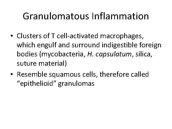 Granulomatous Inflammation • Clusters of T cell-activated macrophages, which engulf and surround indigestible foreign
