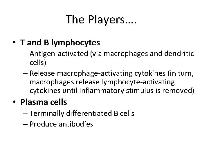 The Players…. • T and B lymphocytes – Antigen-activated (via macrophages and dendritic cells)