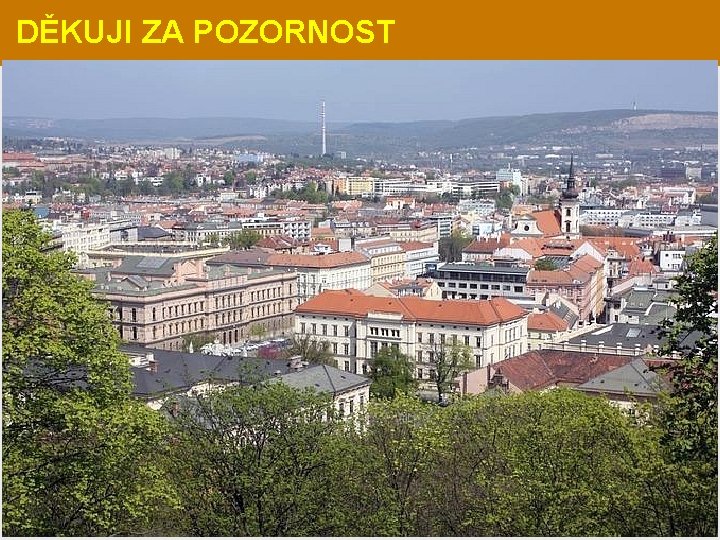 DĚKUJI ZA POZORNOST 