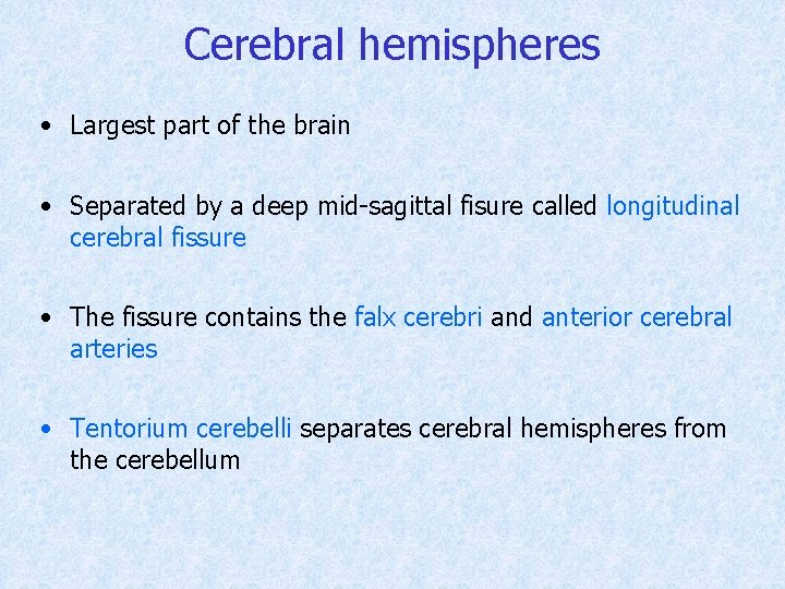 Cerebral hemispheres • Largest part of the brain • Separated by a deep mid-sagittal