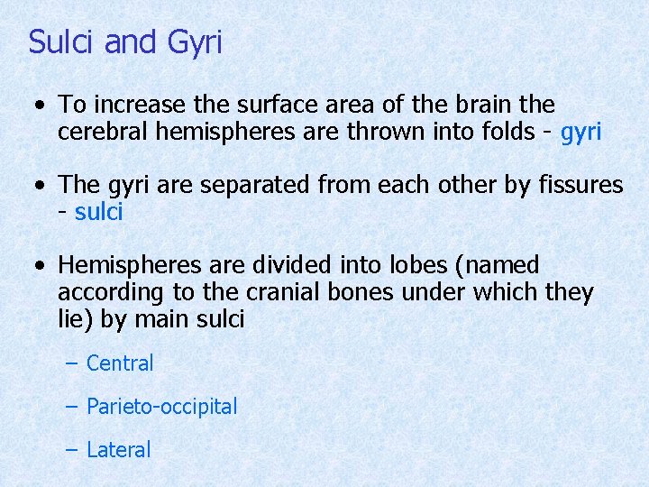 Sulci and Gyri • To increase the surface area of the brain the cerebral