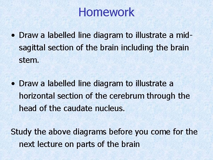 Homework • Draw a labelled line diagram to illustrate a midsagittal section of the