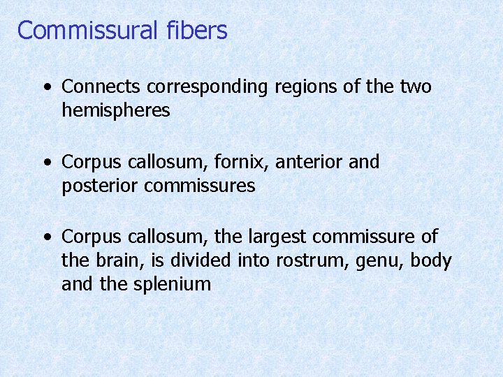 Commissural fibers • Connects corresponding regions of the two hemispheres • Corpus callosum, fornix,