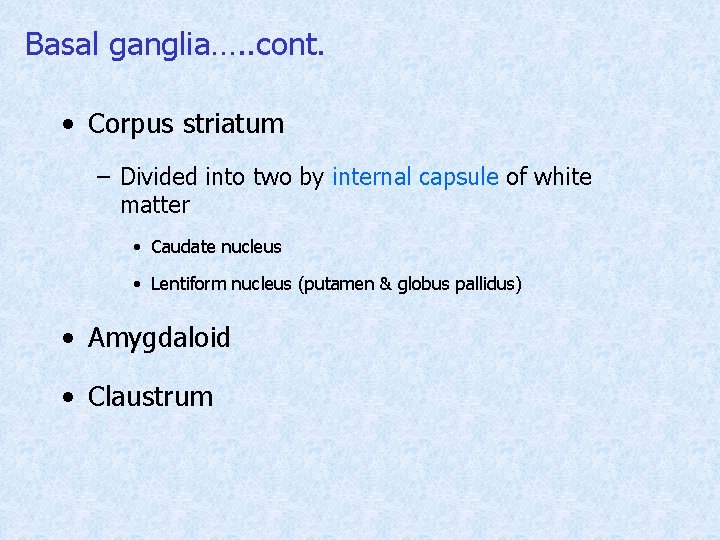 Basal ganglia…. . cont. • Corpus striatum – Divided into two by internal capsule