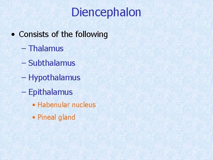 Diencephalon • Consists of the following – Thalamus – Subthalamus – Hypothalamus – Epithalamus