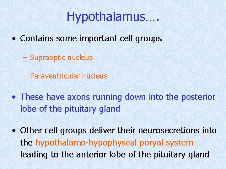 Hypothalamus…. • Contains some important cell groups – Supraoptic nucleus – Paraventricular nucleus •