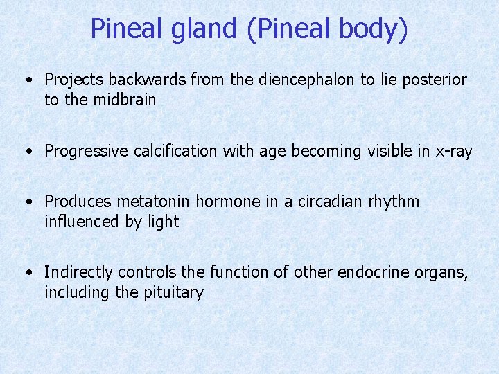 Pineal gland (Pineal body) • Projects backwards from the diencephalon to lie posterior to
