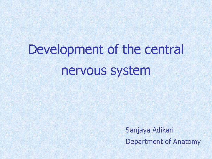 Development of the central nervous system Sanjaya Adikari Department of Anatomy 