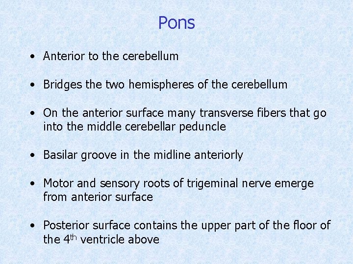 Pons • Anterior to the cerebellum • Bridges the two hemispheres of the cerebellum