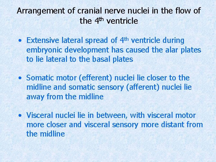Arrangement of cranial nerve nuclei in the flow of the 4 th ventricle •