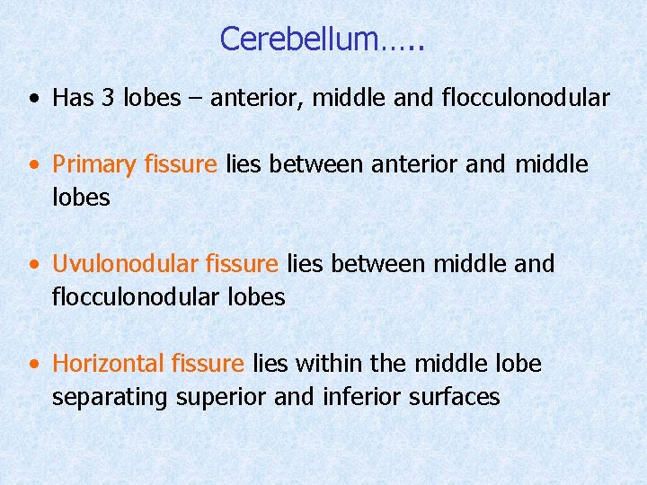 Cerebellum…. . • Has 3 lobes – anterior, middle and flocculonodular • Primary fissure
