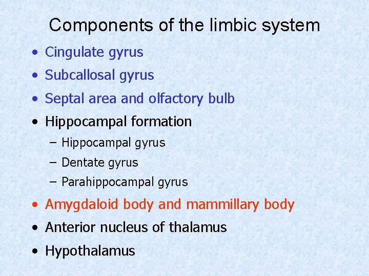 Components of the limbic system • Cingulate gyrus • Subcallosal gyrus • Septal area