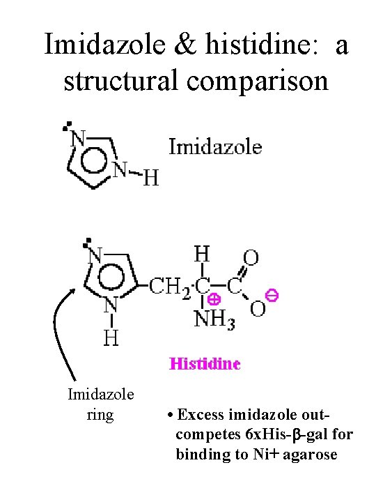 Imidazole & histidine: a structural comparison Imidazole ring • Excess imidazole outcompetes 6 x.