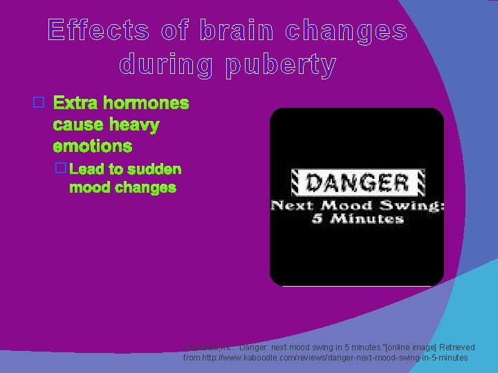 Effects of brain changes during puberty � Extra hormones cause heavy emotions � Lead