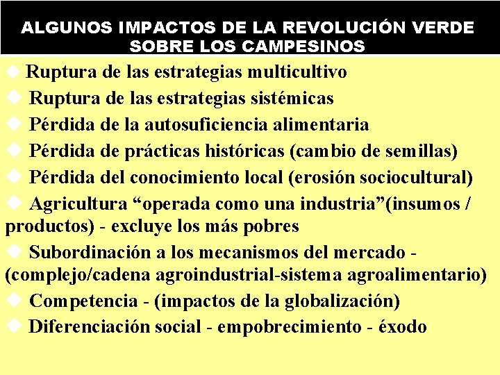 ALGUNOS IMPACTOS DE LA REVOLUCIÓN VERDE SOBRE LOS CAMPESINOS Ruptura de las estrategias multicultivo