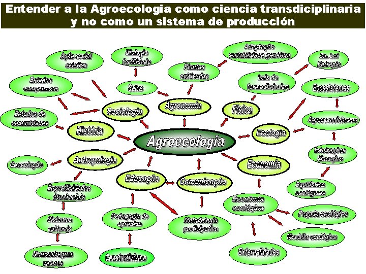 Entender a la Agroecologia como ciencia transdiciplinaria y no como un sistema de producción