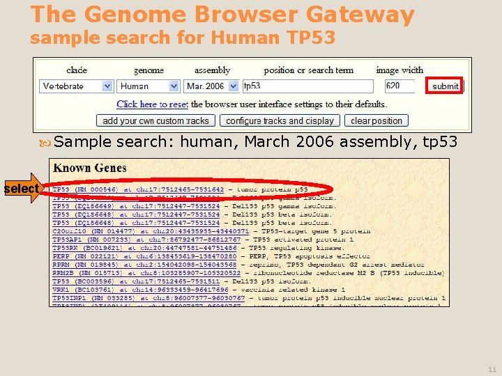 The Genome Browser Gateway sample search for Human TP 53 Sample search: human, March