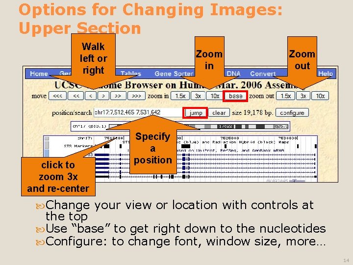 Options for Changing Images: Upper Section Walk left or right click to zoom 3