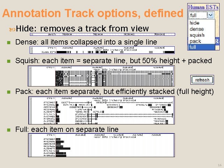 Annotation Track options, defined Hide: removes a track from view n Dense: all items