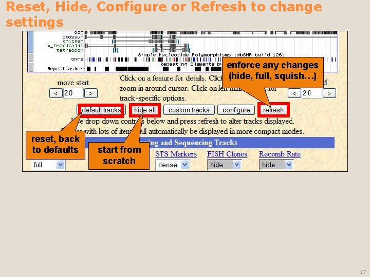 Reset, Hide, Configure or Refresh to change settings enforce any changes (hide, full, squish…)