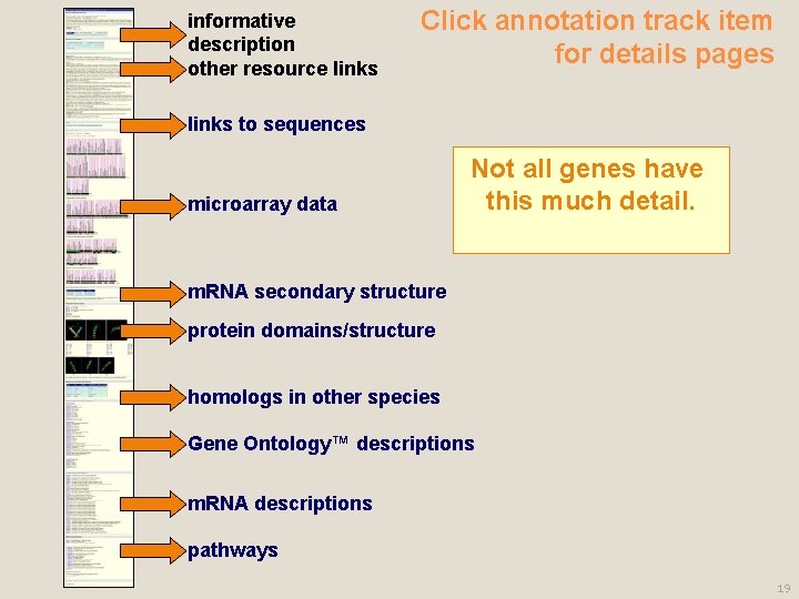 informative description other resource links Click annotation track item for details pages links to