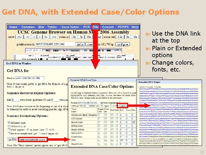 Get DNA, with Extended Case/Color Options Use the DNA link at the top Plain