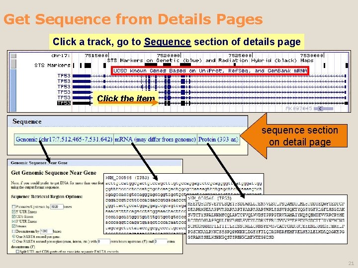 Get Sequence from Details Pages Click a track, go to Sequence section of details