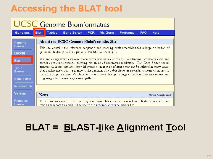 Accessing the BLAT tool BLAT = BLAST-like Alignment Tool 22 