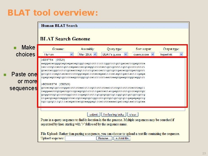 BLAT tool overview: Make choices n n Paste one or more sequences 23 
