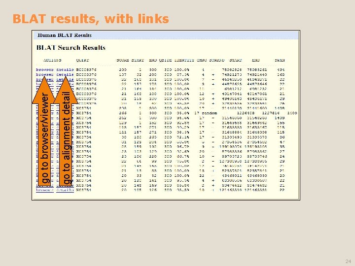 go to alignment detail go to browser/viewer BLAT results, with links 24 