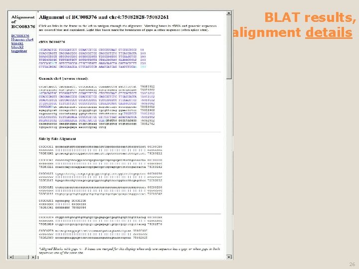 BLAT results, alignment details 26 