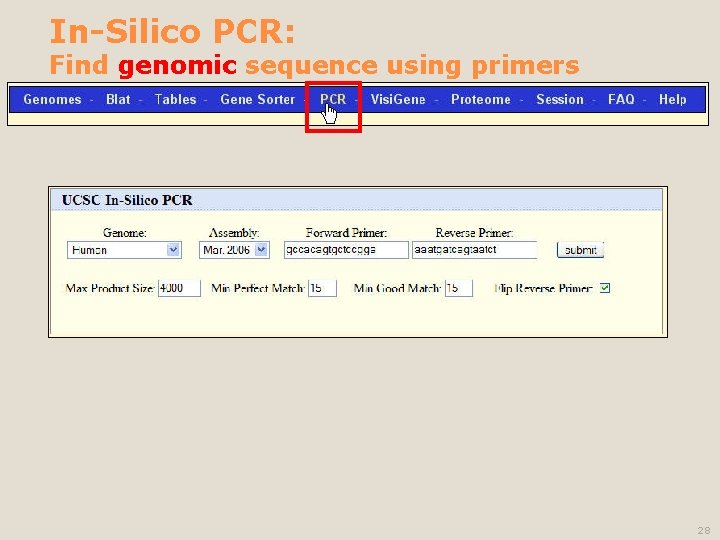 In-Silico PCR: Find genomic sequence using primers 28 