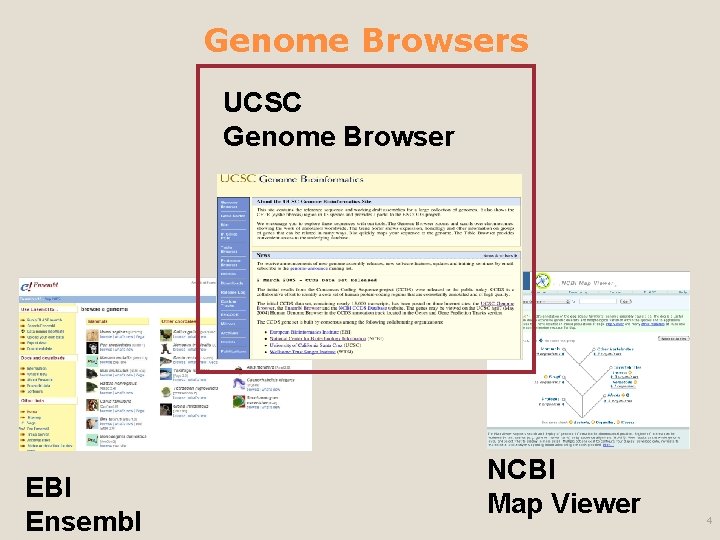 Genome Browsers UCSC Genome Browser EBI Ensembl NCBI Map Viewer 4 