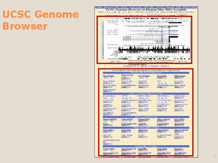 UCSC Genome Browser 7 