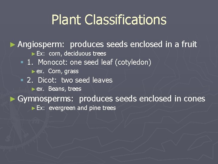 Plant Classifications ► Angiosperm: ► Ex: produces seeds enclosed in a fruit corn, deciduous