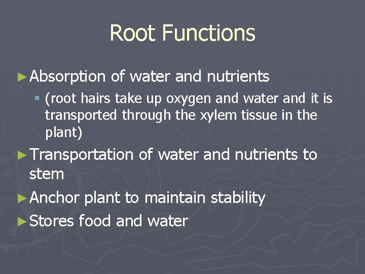 Root Functions ► Absorption of water and nutrients § (root hairs take up oxygen