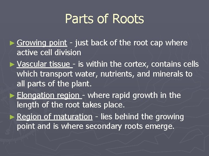 Parts of Roots ► Growing point - just back of the root cap where