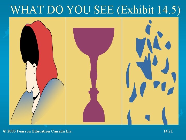 WHAT DO YOU SEE (Exhibit 14. 5) © 2003 Pearson Education Canada Inc. 14.