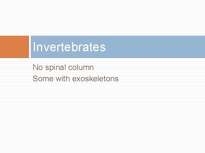 Invertebrates No spinal column Some with exoskeletons 