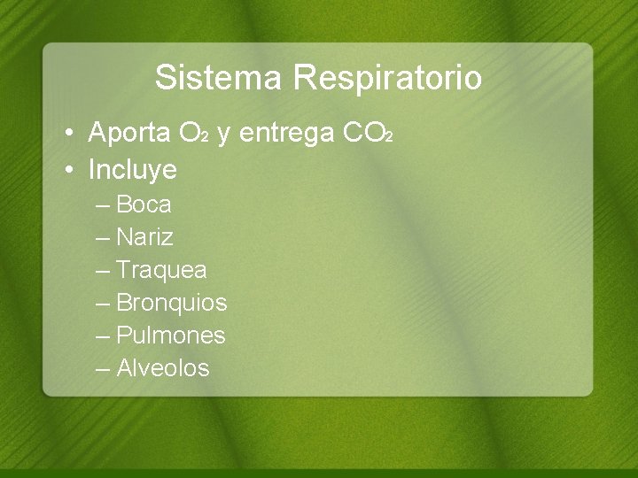 Sistema Respiratorio • Aporta O 2 y entrega CO 2 • Incluye – Boca