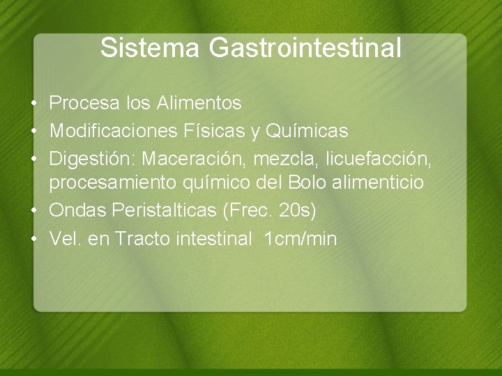 Sistema Gastrointestinal • Procesa los Alimentos • Modificaciones Físicas y Químicas • Digestión: Maceración,