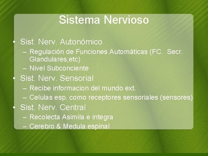 Sistema Nervioso • Sist. Nerv. Autonómico – Regulación de Funciones Automáticas (FC. Secr. Glandulares,