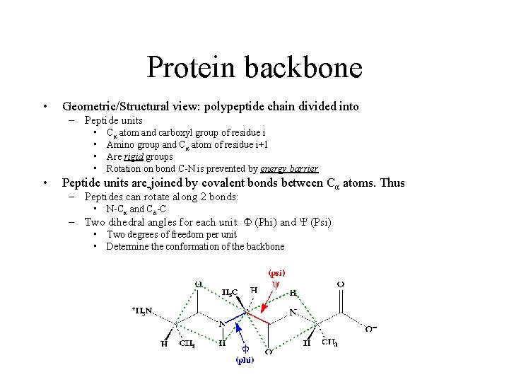 Protein backbone • Geometric/Structural view: polypeptide chain divided into – Peptide units • •