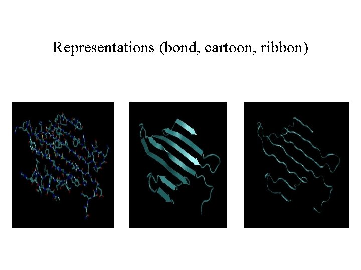 Representations (bond, cartoon, ribbon) 
