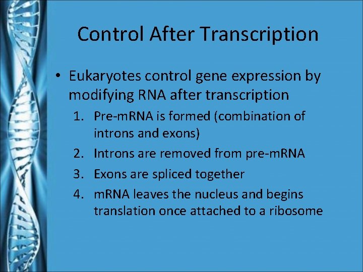 Control After Transcription • Eukaryotes control gene expression by modifying RNA after transcription 1.
